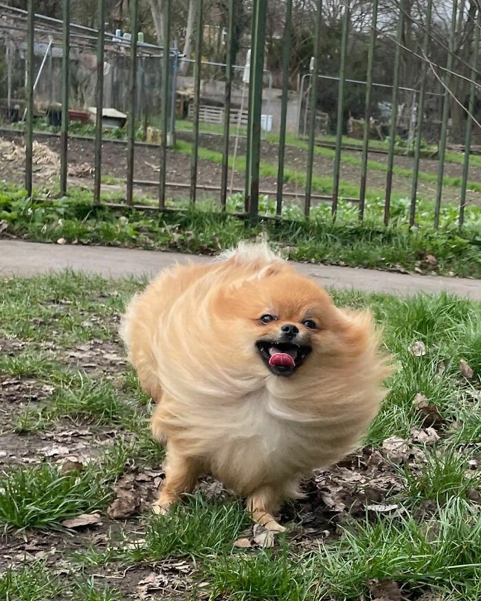 Having Fun In The Wind