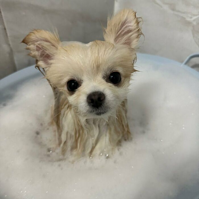 It's Definitely An Angel