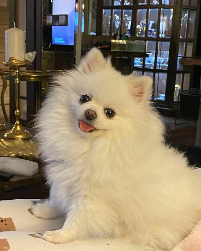 I Am Such A Happy Child