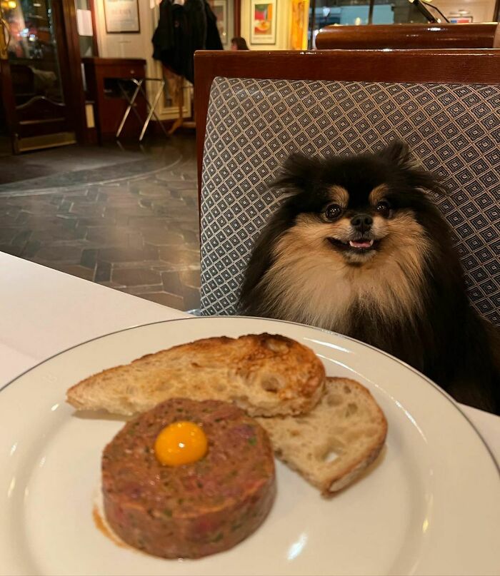 Steak Tartare