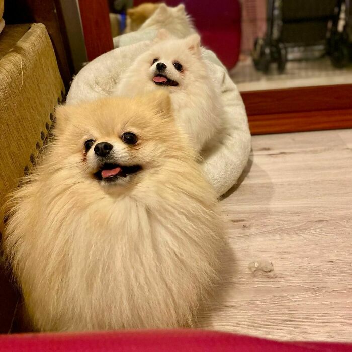 I Brought A Bride To My Parents