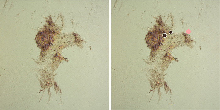 Creative Illustrator Sees Life In Everyday Street Objects