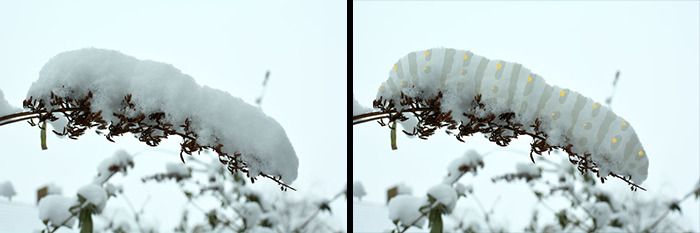 Creative Illustrator Sees Life In Everyday Street Objects