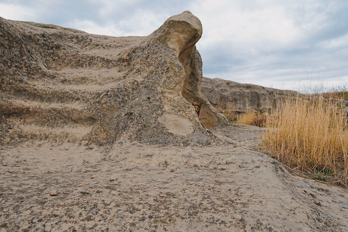 I Have Traveled To 33 Countries Together With My Maine Coon Cat, See The Highlights Of Our Journey To Turkey And Georgia I Have Traveled To 33 Countries Together With My Maine Coon Cat, See The Highlights Of Our Journey To Turkey And Georgia