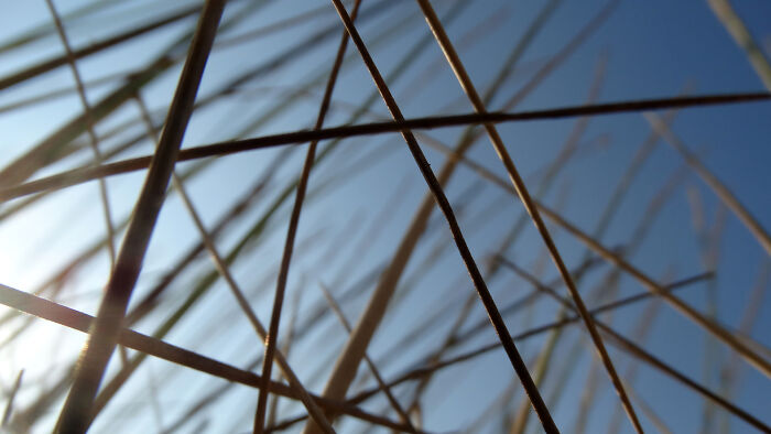 I Am So Happy That Spring Is Here After Many Cold Months ♥