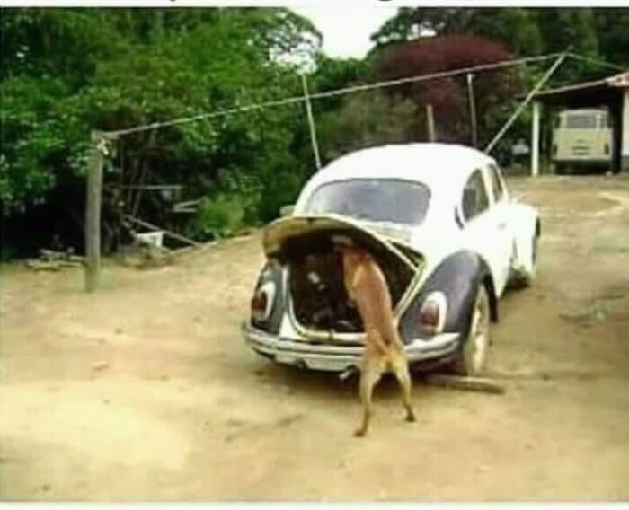 Carb Is Running A Bit Lean