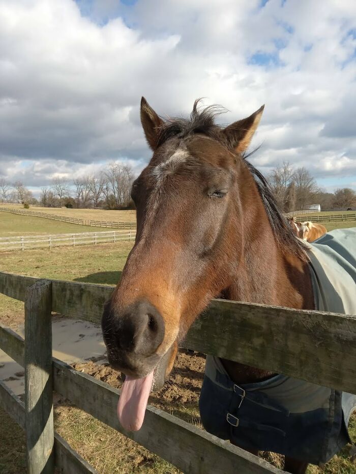 My Goofy Boy Eating Candy Canes