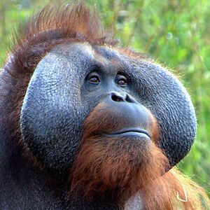 davestevenson avatar