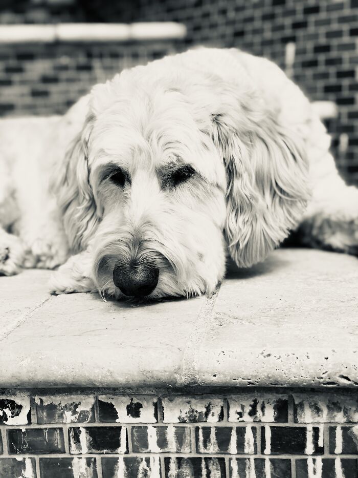 Sleeping In Silvertone