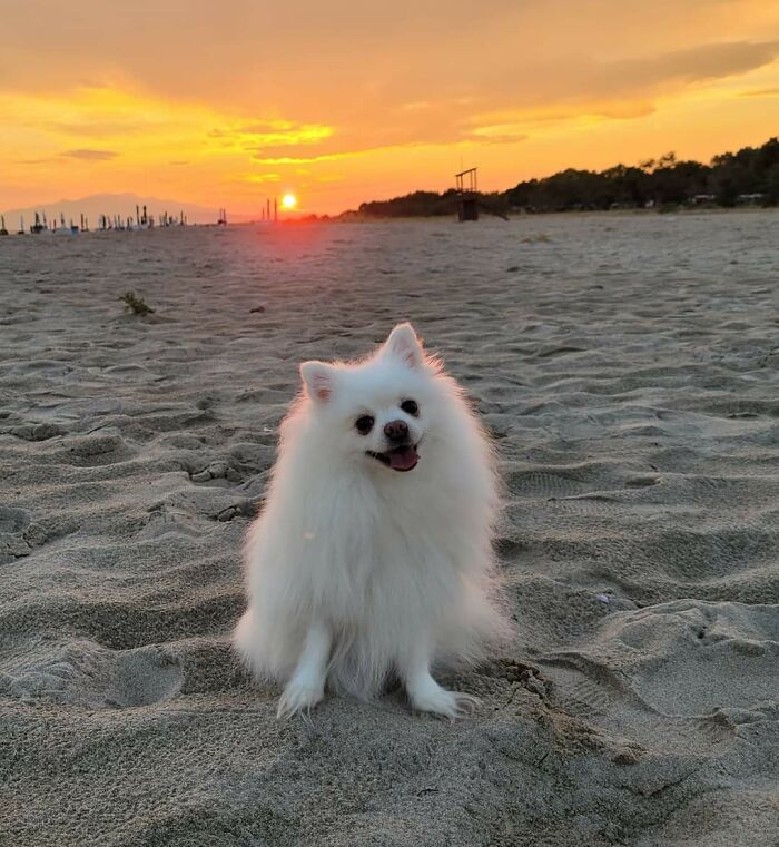 My Precious Amira :)