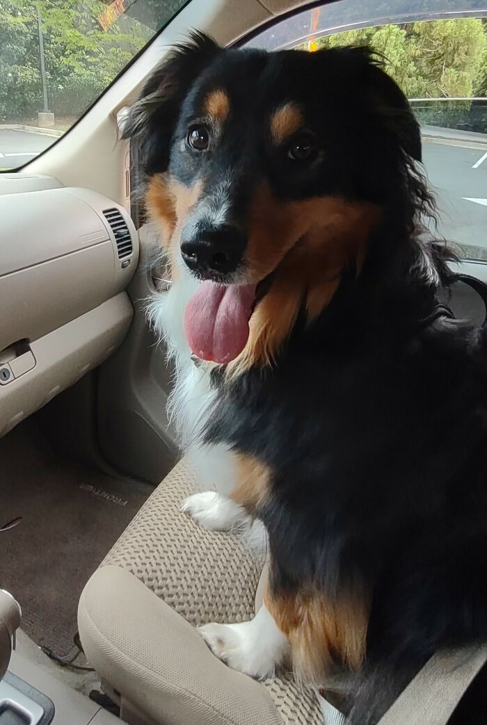 Gretchen Says "Let's Go!"