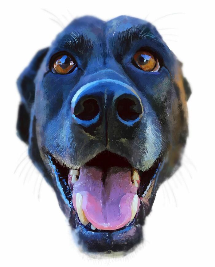 Have Fun With The Fabulous Portraits Of Albeniz Rodriguez, The Artist Who Shows The Happy Side Of Animals (41 Pics)