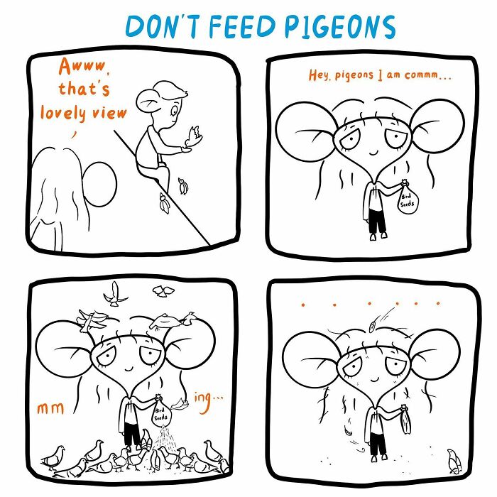 Well, Be Careful, Don’t Trust Pigeons, They Are Robbers