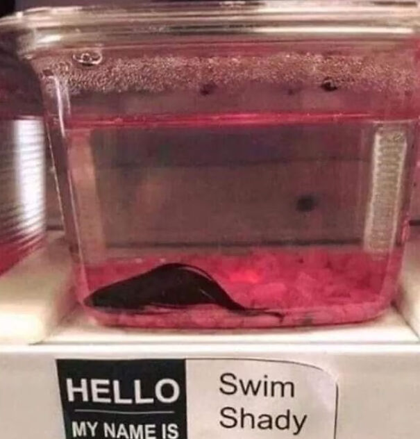 I've Had This Picture On My Phone For So Long, But It's Still The Funniest To Me!