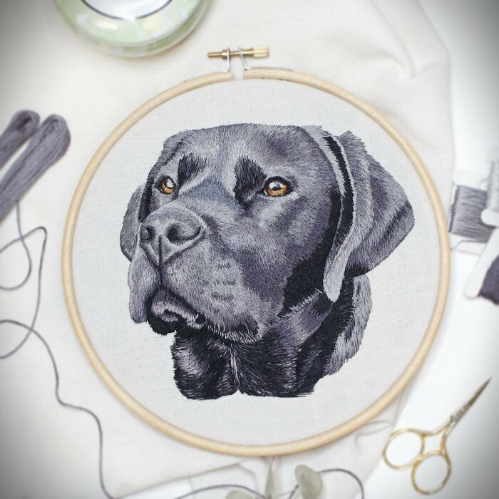 I Made Realistic Embroidered Pet Portraits