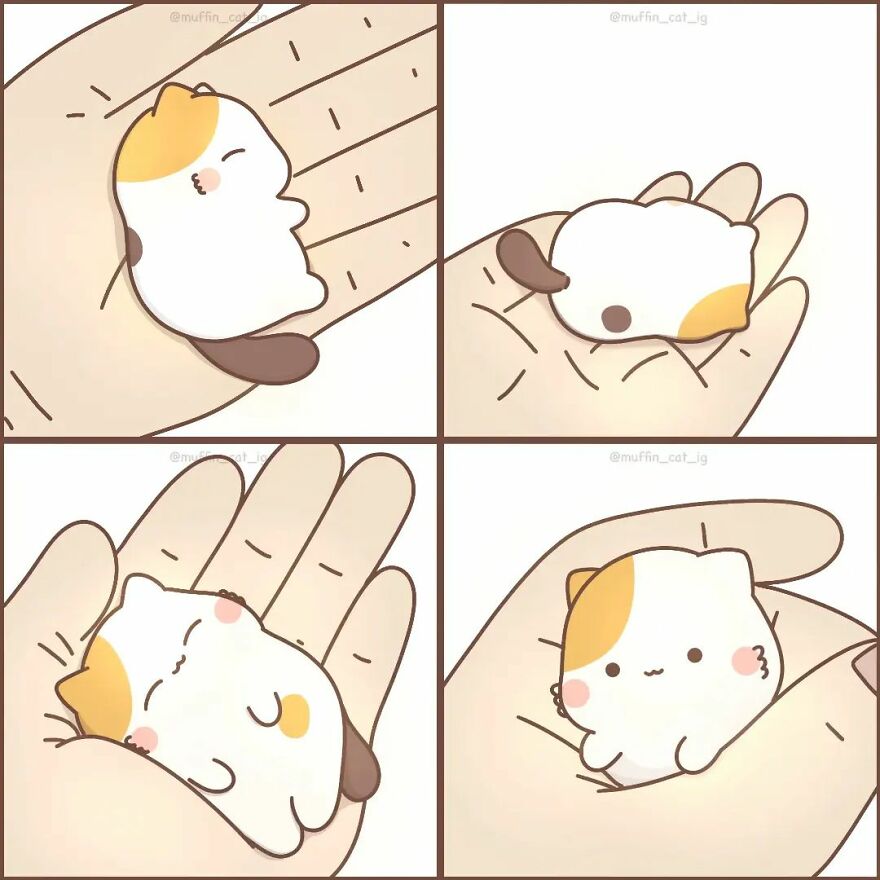 Precious Little Calico Cat