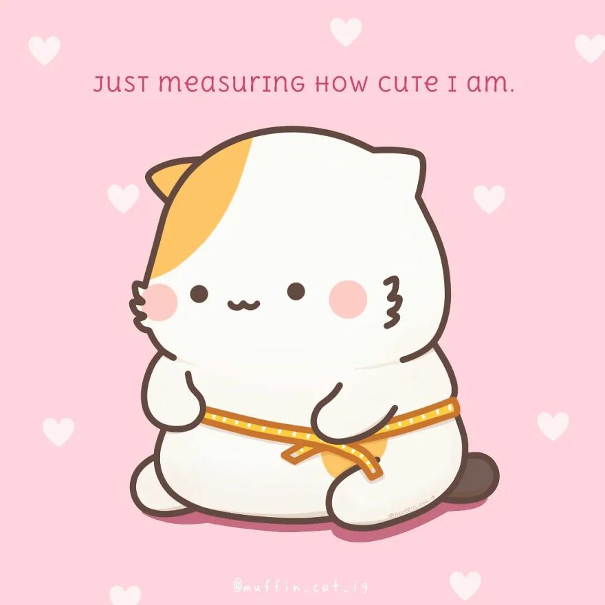 Not Fluffy, Not Fat, Just Cute