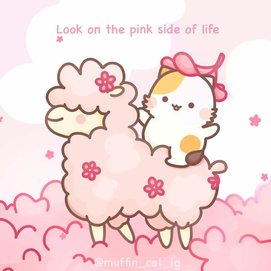 Pink Is Currently My Favourite Colour