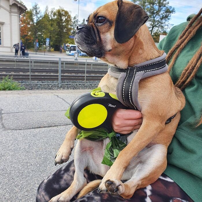 Laka Waiting For A Train