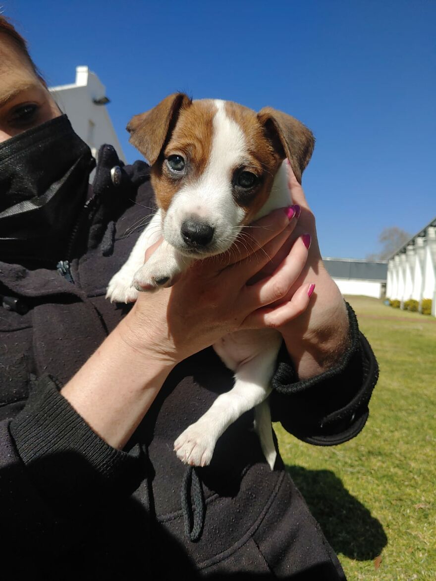 Want To Share My Maverick