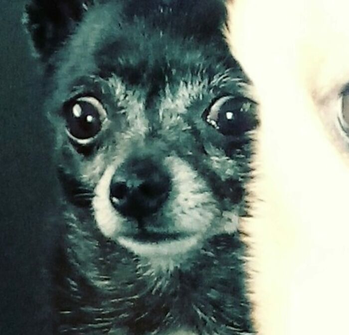 Madam Plop Was Horrified My Husband Had Got Out The Car For A Moment Without Her!