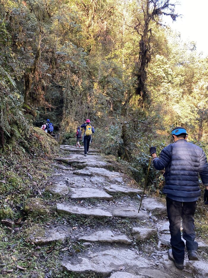 I Spent My Week Hiking The Ghorepani Poon Hill Route In Nepal With A Dog I Spent My Week Hiking The Ghorepani Poon Hill Route In Nepal With A Dog