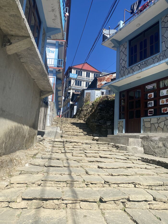 I Spent My Week Hiking The Ghorepani Poon Hill Route In Nepal With A Dog I Spent My Week Hiking The Ghorepani Poon Hill Route In Nepal With A Dog