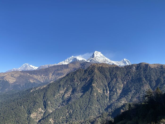I Spent My Week Hiking The Ghorepani Poon Hill Route In Nepal With A Dog I Spent My Week Hiking The Ghorepani Poon Hill Route In Nepal With A Dog