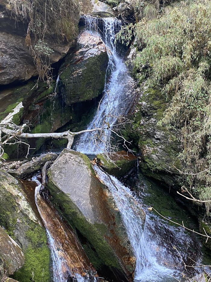 I Spent My Week Hiking The Ghorepani Poon Hill Route In Nepal With A Dog I Spent My Week Hiking The Ghorepani Poon Hill Route In Nepal With A Dog
