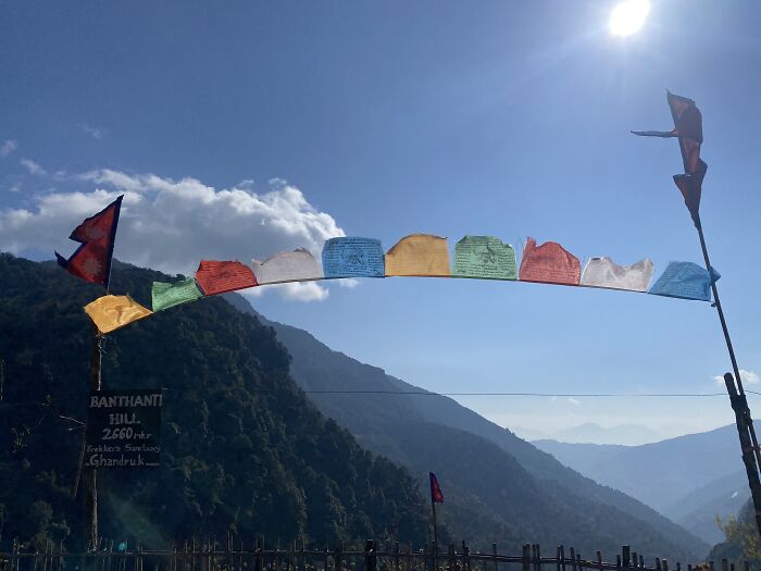 I Spent My Week Hiking The Ghorepani Poon Hill Route In Nepal With A Dog I Spent My Week Hiking The Ghorepani Poon Hill Route In Nepal With A Dog