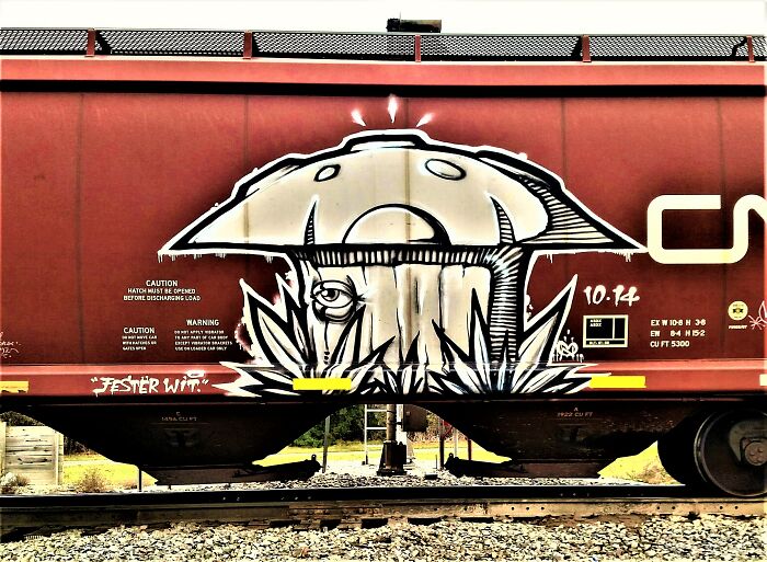 Waiting At The Crossing And It Happened To Stop Just Long Enough