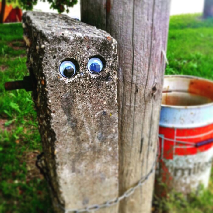 Hey, It's Tibor, From Szeged. I'm A Prisoner Because I've Stolen A Lot Of Short Drinks From The Local Pub