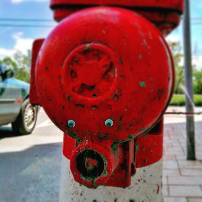 Hey, I'm Gábor From Zagreb. I've Got A Bigger Brain Than An Average Human, So I'm Smarter Than You. Although People Say My Face Looks So Oafish