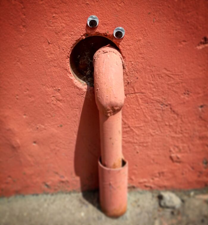 Szia, It's Kázmér From Pécs. Do You Remember The Burst Pipe Last Week In The Building? I Have To Admit, It Was Me. Somehow, I Really Like To Chew Them