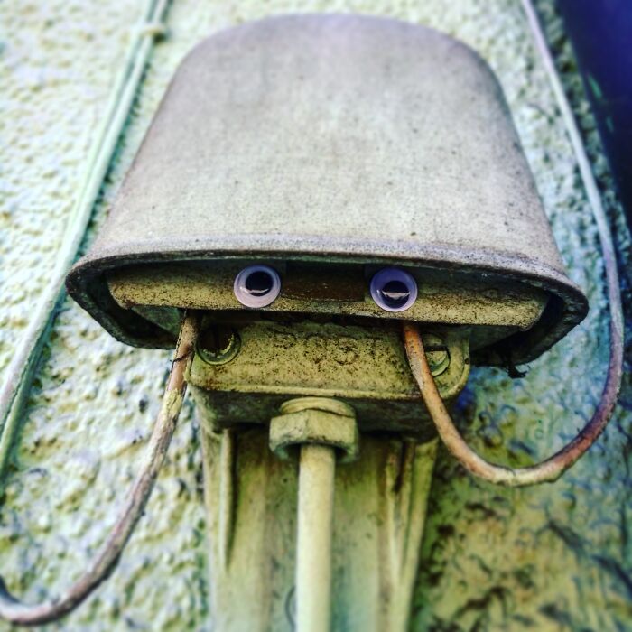 Hey, I'm Xaver From Bad Wildungen, Germany. Have You Ever Seen Any Deep Sea Creatures Outside The Sea? Now You Have! Do Not Tell Anyone!