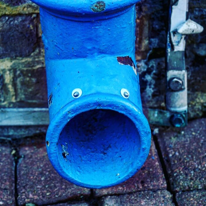 Hey, I'm Jane From London! How Do You Do? I'm A Little Thirsty Now... Do You Think It Will Rain Again This Afternoon?