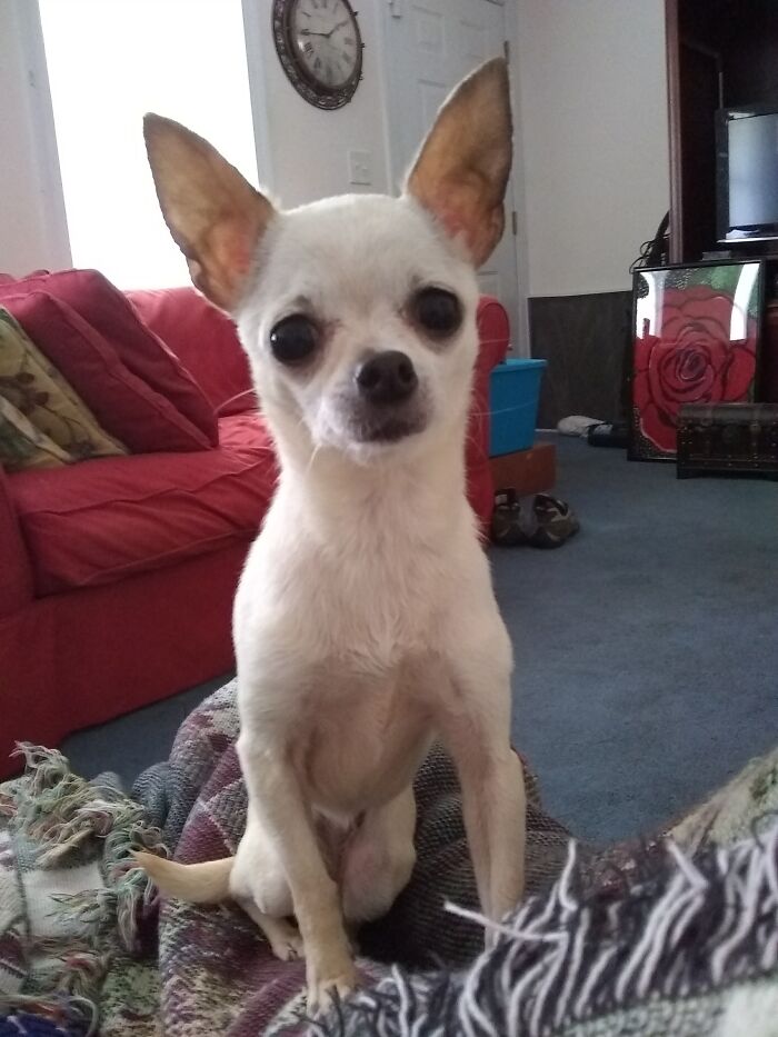 Y Baby Girl Bella . She Just Turned 10