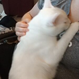 kelleygilbertzumwalt avatar