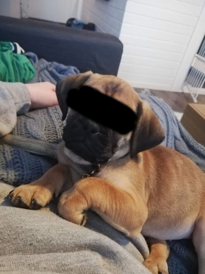 I Do Not Think You Should Be Posting Pictured Of Other People And Especially Your Children To All To See