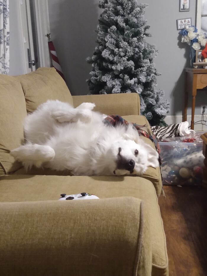 This Is Betty Rose White And Your Watching Disney Channel On Cr@ck (She Sleep Like This)