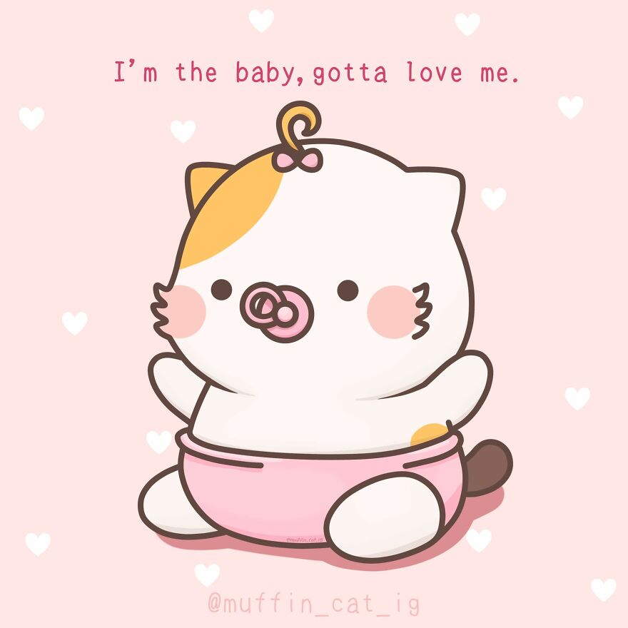 Muffin Is A Baby Cat