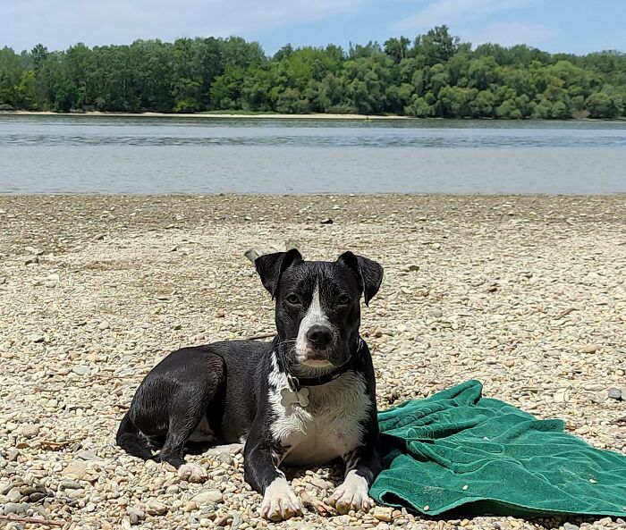 Resting After Swimming