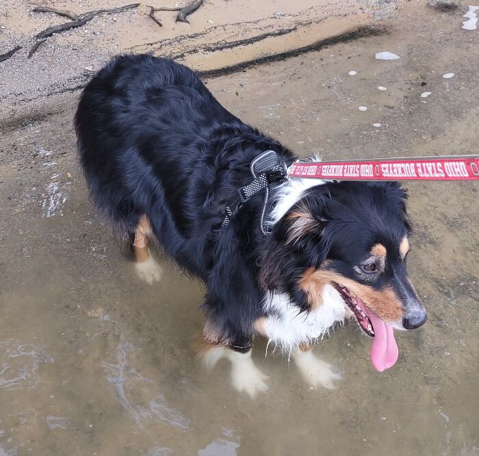 Gretchen Cooling Off Last Summer
