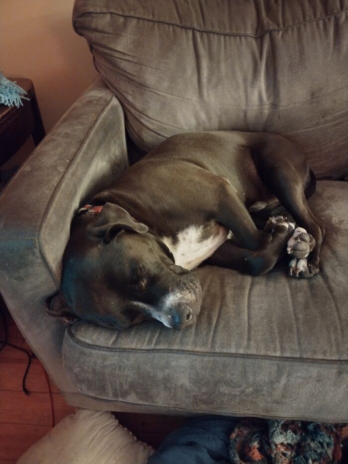 My Strange Little Rescue, Malek. We Call Him Meek