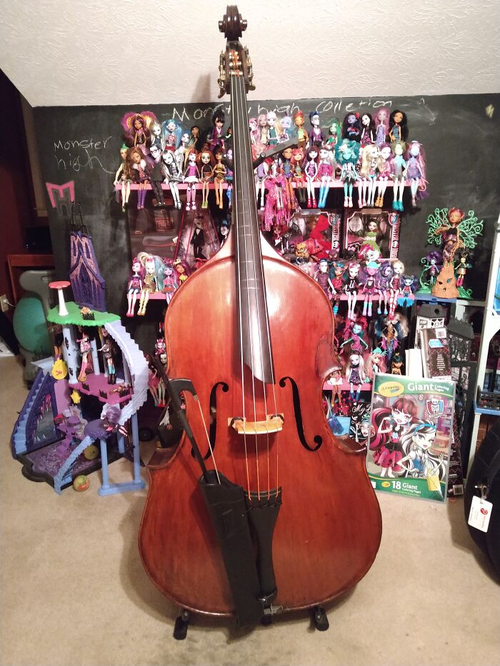 2006 Romano Solano 5/8 Sive Bass With Soloist Fingerboard