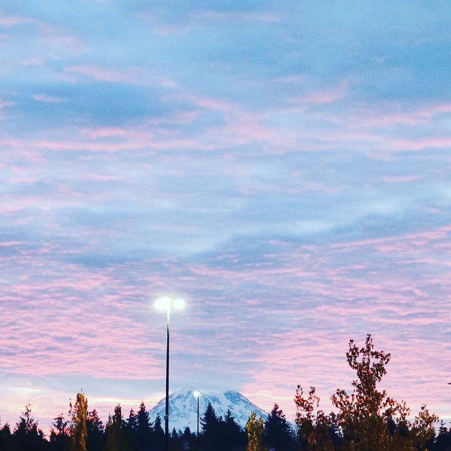 The Shadow Cast In The Sunrise By Mt Rainier