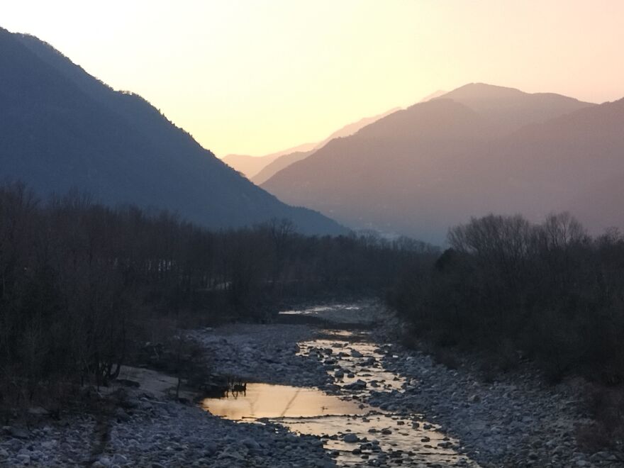 Lovely Light Over The Stream