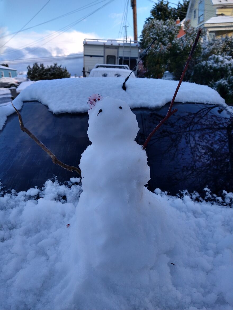 Snow On The Coast! Eureka, Ca