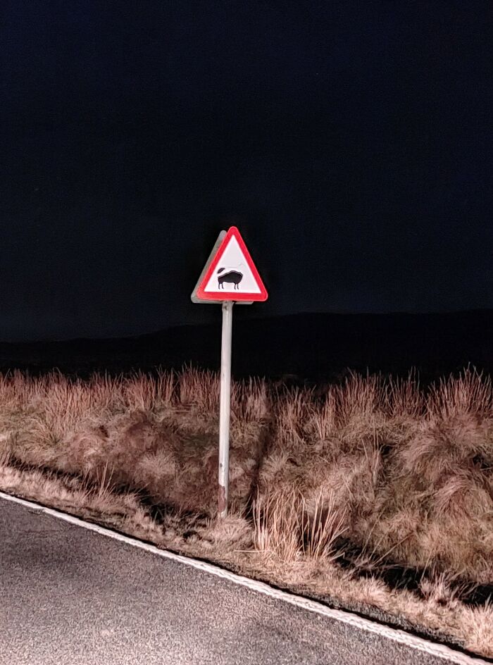 What Even Is This Sign?