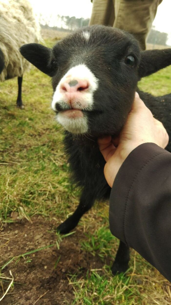 One Of The Newer Ones At My Moms